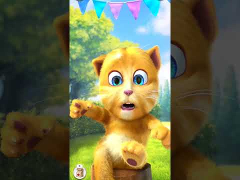 talking ginger 😂#mytalkingginger #shortsfeed #games