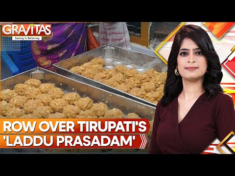 Tirupati Laddu Row: Andhra CM Naidu claims animal fat found in Tirupati prasad | Gravitas