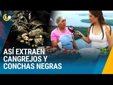 Ceviche de conchas negras desde los manglares de Tumbes: La ciudad del amor y el eterno calor