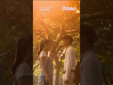 「マイ・サンシャイン」highlight６ #cdrama #恋愛 #何以笙蕭默 #羅雲熙 #呉倩