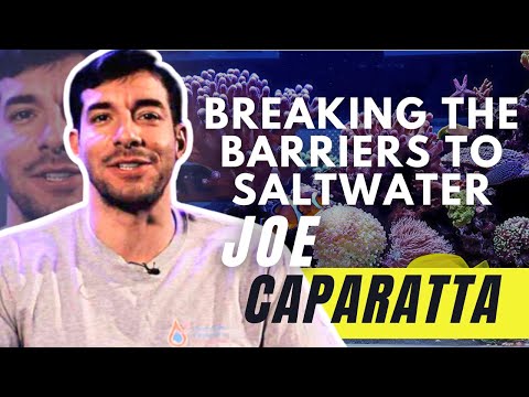 How To Set Up Your First Saltwater Aquarium - Joe  🛑 👉Find out when our next event is!  ➡️ Aquashella Tickets_ https_//bit.ly/3oG2Dd6

The Aq