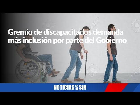 El el Consejo Nacional de Discapacidad demanda más inclusión