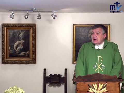 Homilía de hoy | Lunes, I semana del Tiempo Ordinario | 11.01.2021 | P. Santiago Martín FM