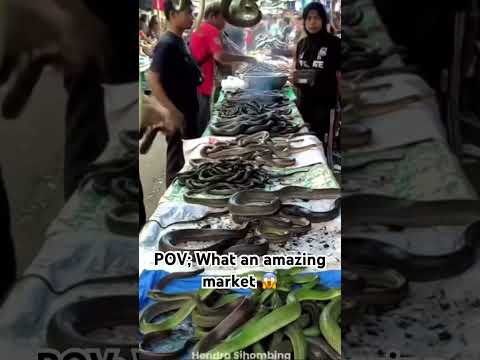 Maybe you are interested here #viral #animals #fyp #reels #world #shorts  #aivideo  #youtubeshorts