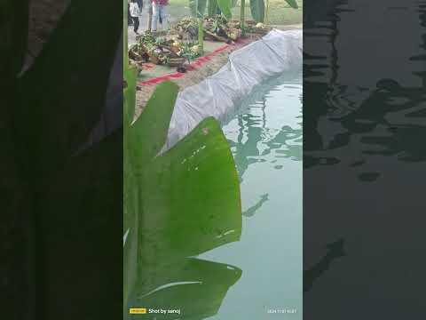 छठ पूजा वीडियो बहुत ही सुंदर वीडियो #viralvideo #छठ_पूजा #chhathpuja #youtubeshorts #trendingshorts