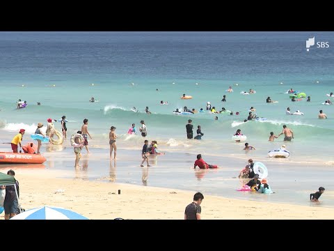 白浜大浜海水浴場の客数　昨年比8割増＝静岡・下田市
