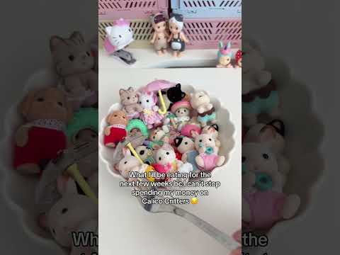 I actually need to stop spending my money on them 😔 calico critters