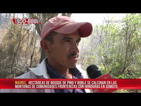 Nicaragua: Trabajan para controlar incendio forestal en la frontera con Honduras