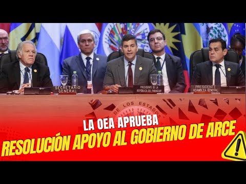 OEA aprueba resolución en apoyo a Arce y en rechazo al golpe de Estado