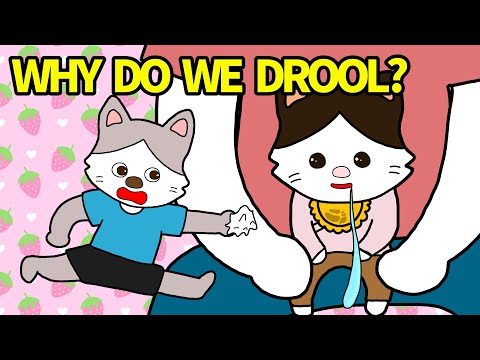 Picture Book Anime Read Aloud:Why do we drool?