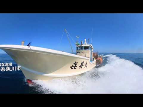 底びき網漁業に密着（VR動画）