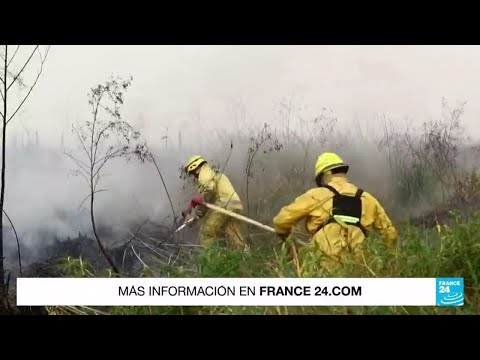 Argentinos y paraguayos pasan por una gran consternación con la magnitud de los incendios