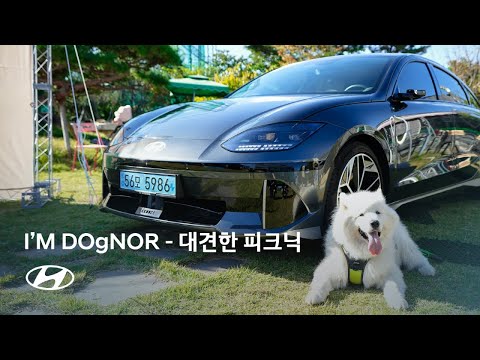 I’M DOgNORㅣ반려견 헌혈 문화 캠페인ㅣ현대자동차