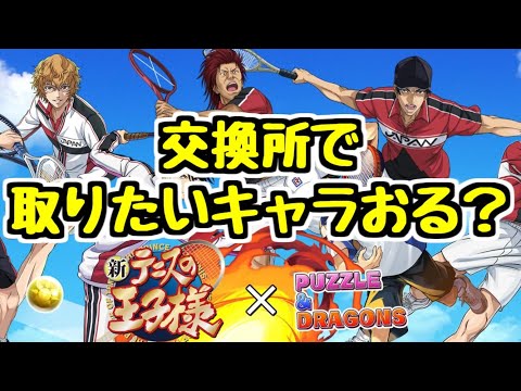 【テニプリコラボ】最終日！交換所で確保しないといけないキャラおる？？【パズドラ】