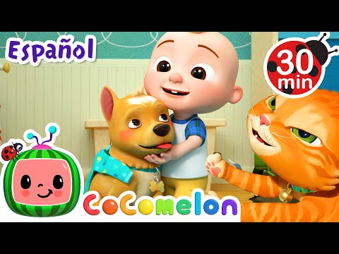 Las mascotas | 🍉 Cocomelon  📺 TV para niños 📺 Caricaturas, dibujos animados para niños