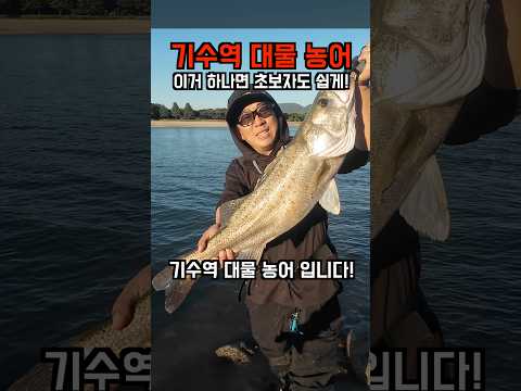 섬진강 <strong>대물</strong> 농어는 달달한걸 좋아합니다!? #피쉬맥스 #잇세이