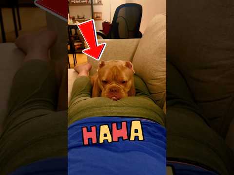 Oh WATCH NOW 💨🤮🤣🤭