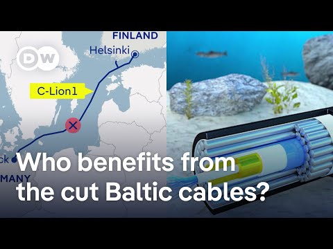 Baltic Sea cables: Does the trail lead to China? | DW News