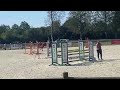 Show jumping horse Ricard’o
