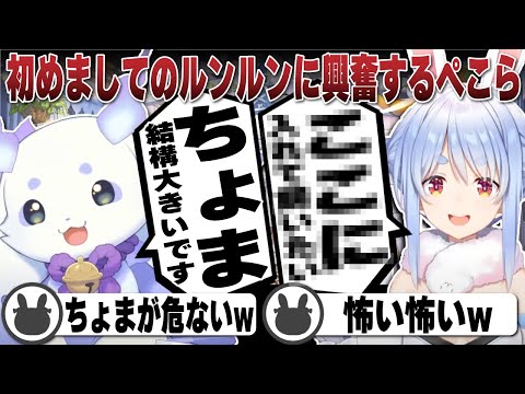 初めましてのルンルンに興奮する兎田ぺこら【ホロライブ/兎田ぺこら/切り抜き/にじさんじ/ルンルン/宝鐘マリン】 #兎田ぺこら #ルンルン ルンルン #宝鐘マリン