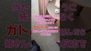 うおむすめの裏側　#vtuber #新人vtuber