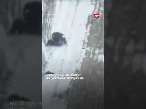 Drohnen-Video soll tote Nordkoreaner in Russland zeigen | #ntv