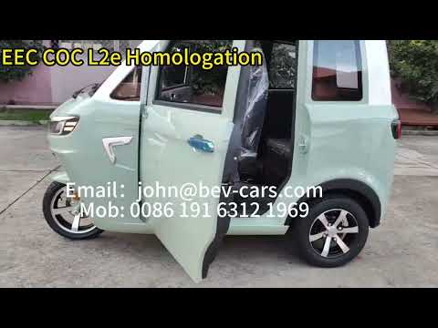 EEC COC L2e Electric 3 wheel tricycles Quality