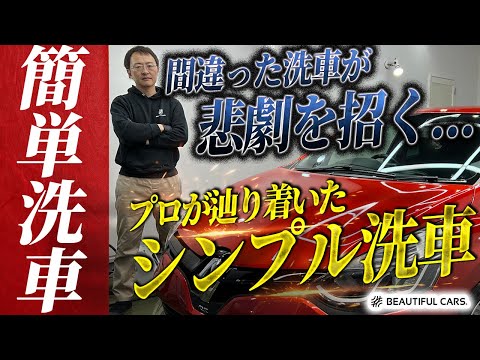 正しい洗車を知りたい人必見！何年も新車のような美しさを維持できるプロの洗車方法【ルノー ルーテシア】