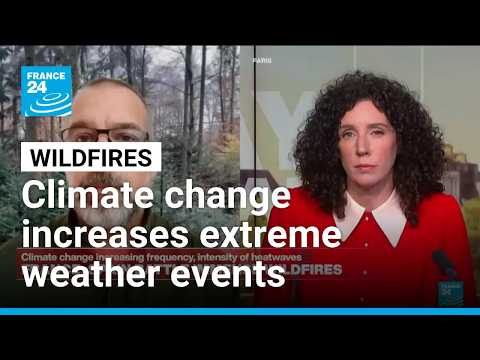 France, Spain wildfires: Climate change increasing frequency, intensity of extreme weather events