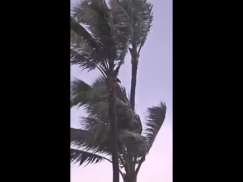 Hawai'i hit by flooding as Hurricane Lowell gets closer