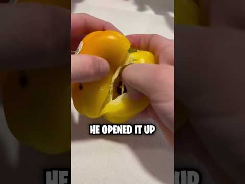 Something Terrifying Found Inside This Pepper! 😱