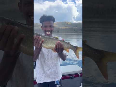 Tips for Fishing In Yellowstone #yellowstonenationalpark #fishing