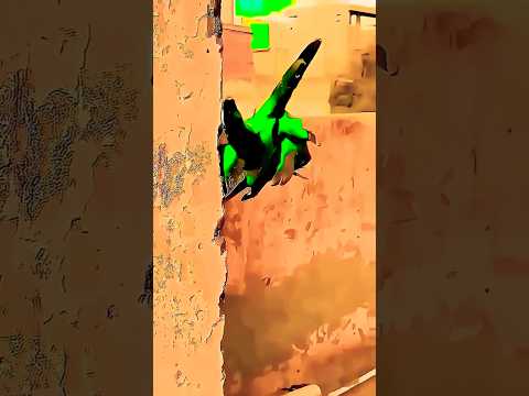 Papa Vo Deko Bhoot Ka Haath 😱👹 | Anaya Ki Funny Reaction 😂 | Cute & Scary Shorts 2025 #shorts