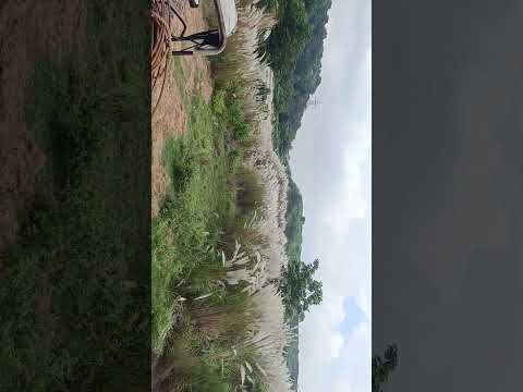 kitna karj hai 16 ke chahie #bhojpuri #dj #newsong #adhuniknagpurisong #englishsongs #melodiousvoice