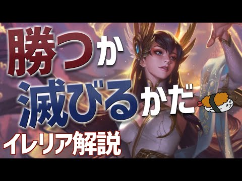 【イレリア vs ケネン】勝つか滅びるかだ！！最強のイレリア講座【DFM Evi解説】