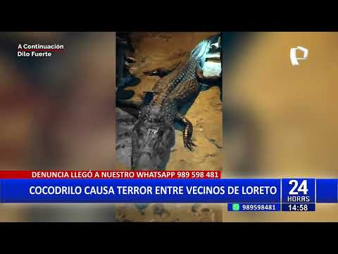 Loreto: pescador mata a cocodrilo que se escapo de río y asusto a los residentes
