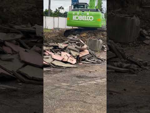 ngày 12 tháng 10, 2025