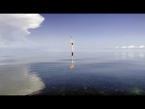Heading to the Florida keys outer banks for bait. video thumbnail
