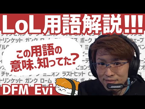 よく使うLoL用語をわかりやすく解説します。【DFM Evi】