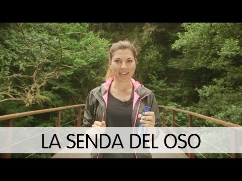 La Senda del Oso en Asturias