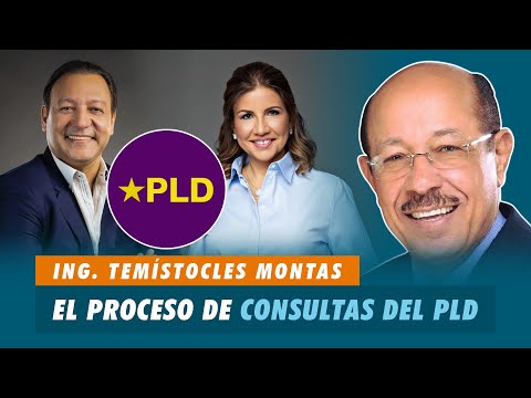 Ing. Temístocles Montas, Vicepresidente del PLD Sobre el proceso de consultas del PLD | Matinal