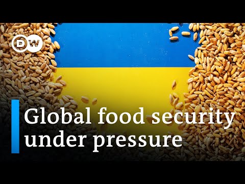 Ukraine war putting pressure on global grain supply | DW News