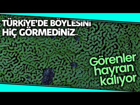 Karagöl Yaylası Eşsiz Manzarası Ve El Değmemiş Doğası İle Dikkat Çekiyor