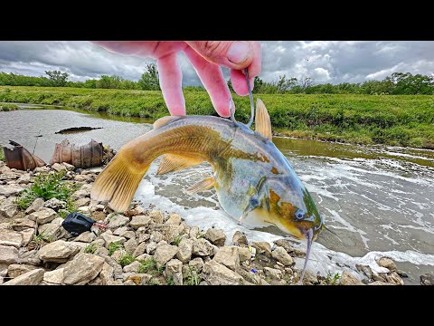 A MONSTER FISH Was Living In This URBAN CREEK!!! (Live Bait Fishing)