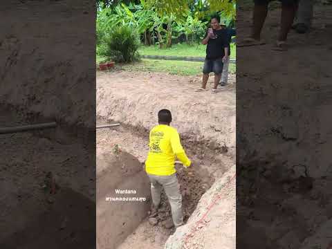 ทองลือบอกถ้าไม่ลองขุดดูแล้วจะรู้ไหมว่าเราทำได้หรือไม่ได้ #คลองไส้ไก่ขุดมือ #canal #nature