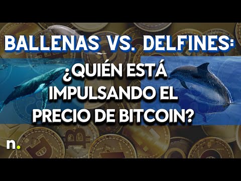 Ballenas vs. Delfines: ¿Quién está impulsando el precio de Bitcoin?