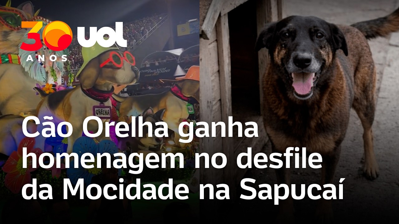 Cão Orelha é homenageado em desfile da Mocidade sobre Rita Lee na Sapucaí, Rio de Janeiro; vídeo