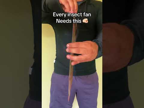 Just for real fans 😎#goku #songoku #dragonball #dragonballheroes #lenticular #3dprinting