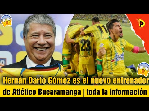 Hernán Darío Gómez es el nuevo entrenador de Atlético Bucaramanga | toda la información