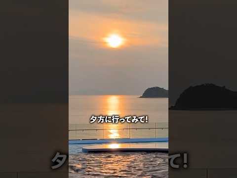 猫の動画サムネイル - 「アート」夕方に美しすぎる水族館🌇